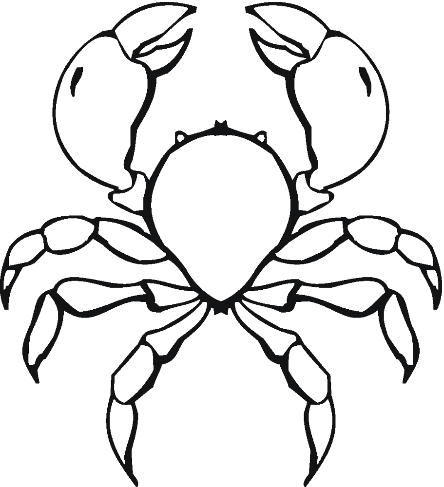 Desenho de Geral para colorir