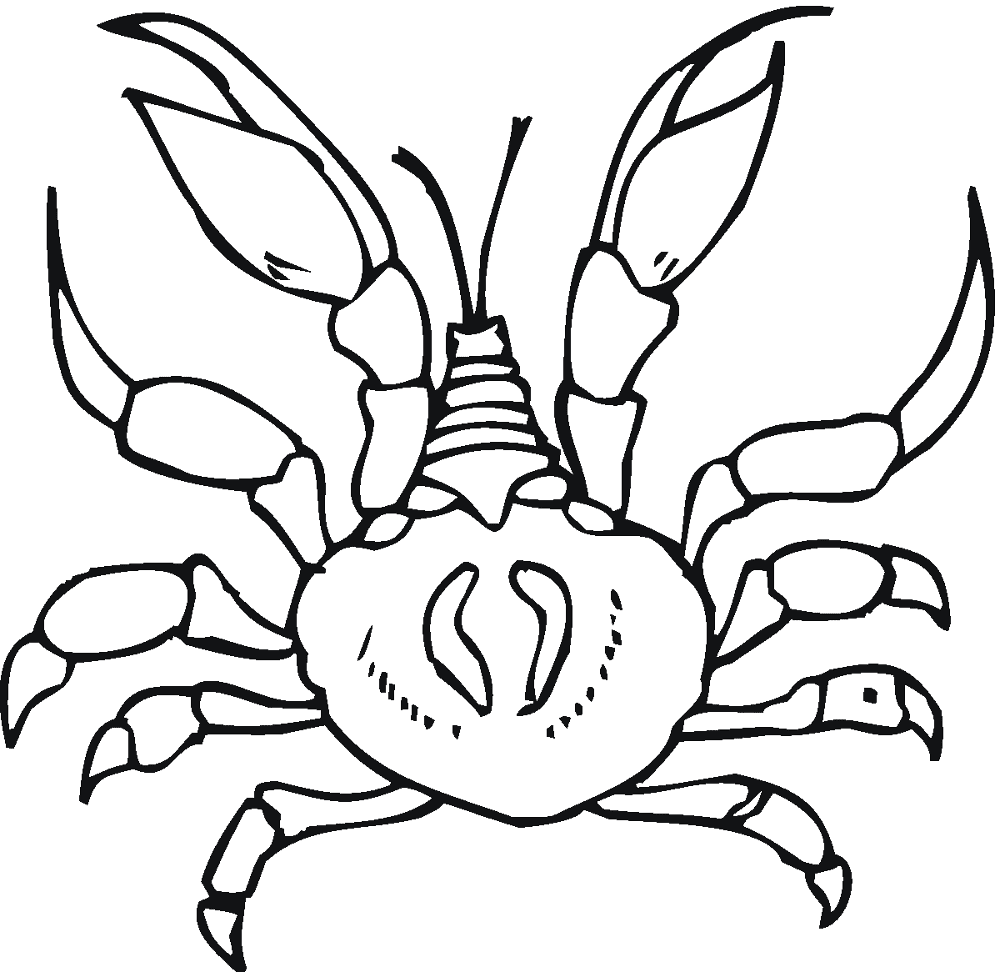 Desenho de Geral para colorir