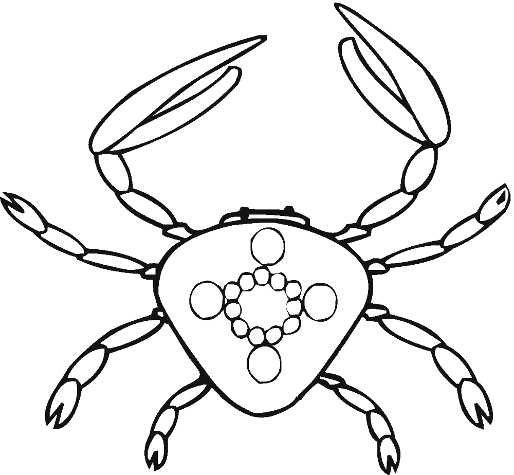Desenho de Geral para colorir