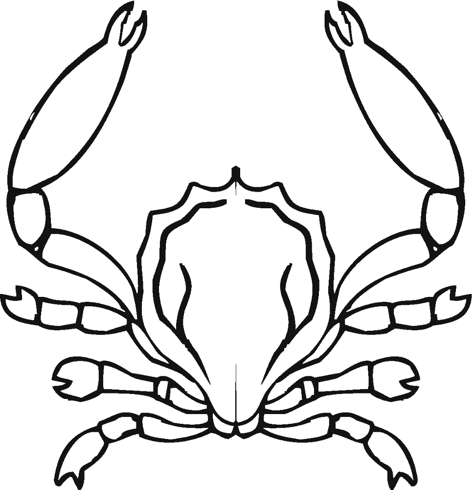 Desenho de Geral para colorir