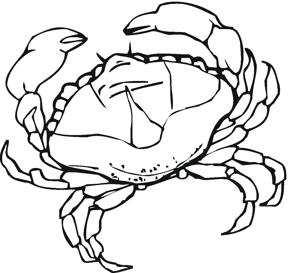 Desenho de Geral para colorir