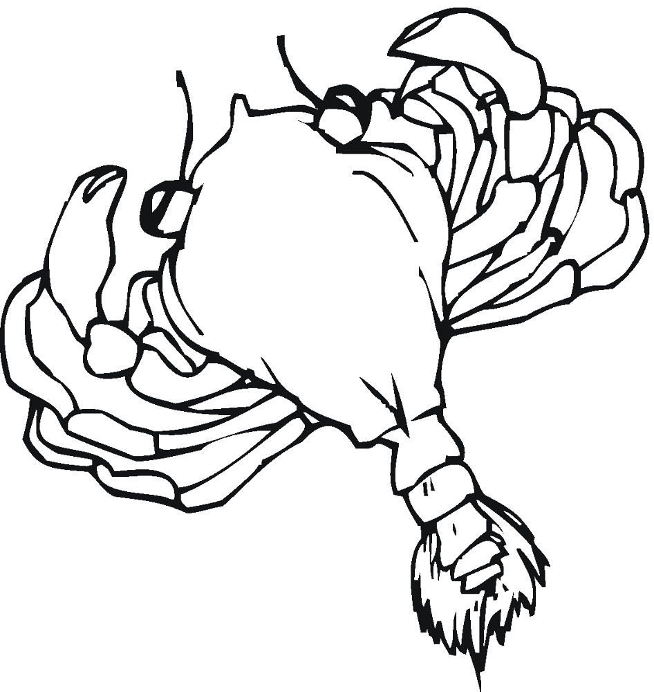 Desenho de Geral para colorir