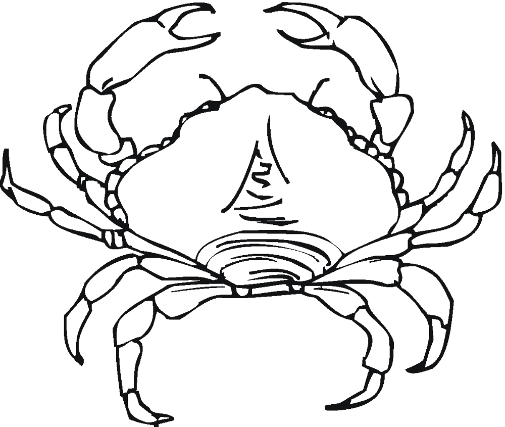 Desenho de Geral para colorir