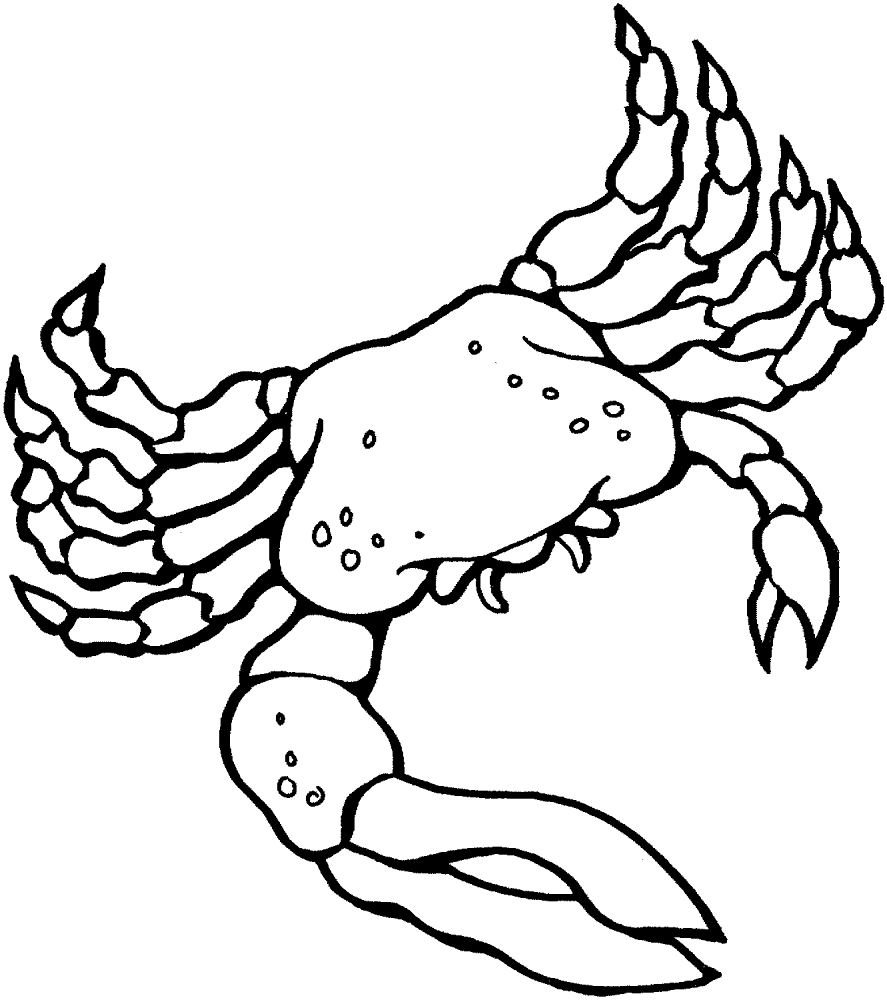 Desenho de Geral para colorir