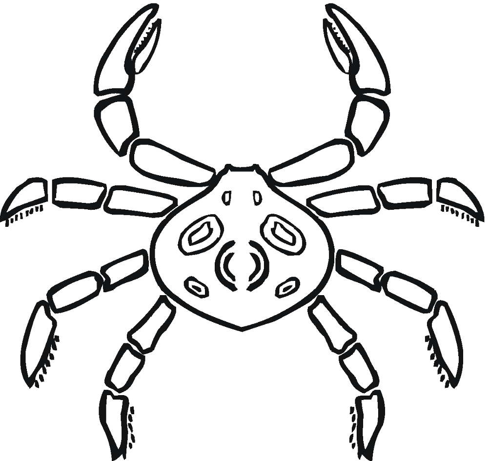 Desenho de Geral para colorir
