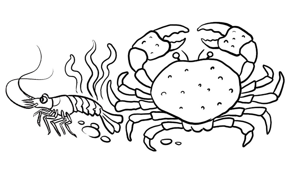 Desenho de Geral para colorir
