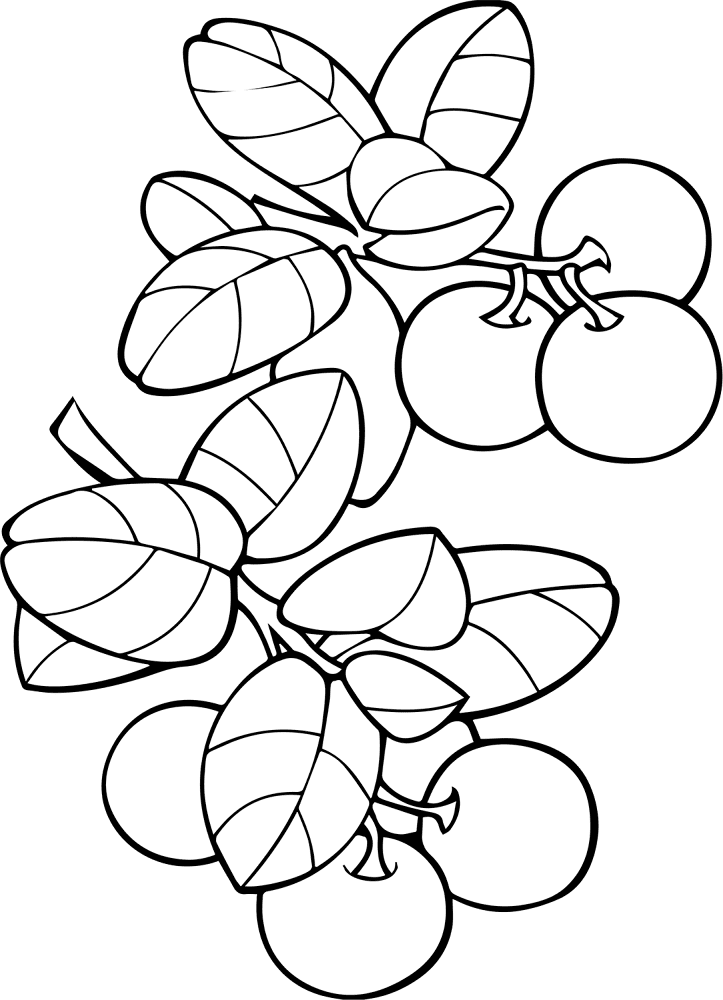 Desenho de Geral para colorir