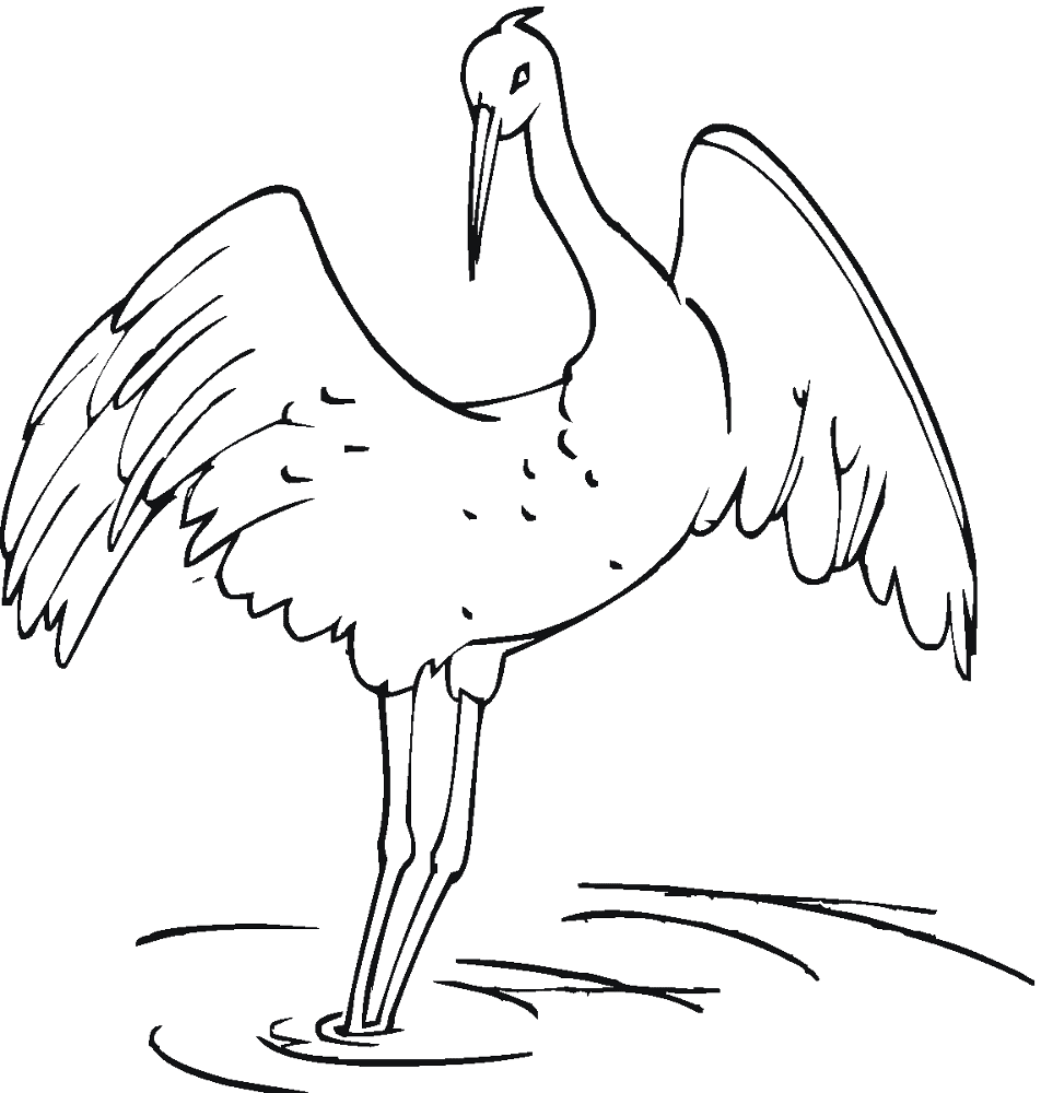 Desenho de Geral para colorir