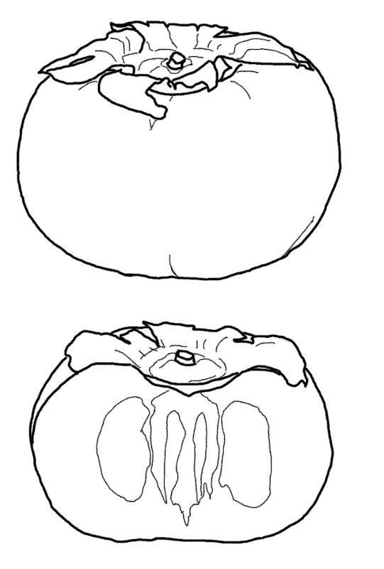 Desenho de Geral para colorir