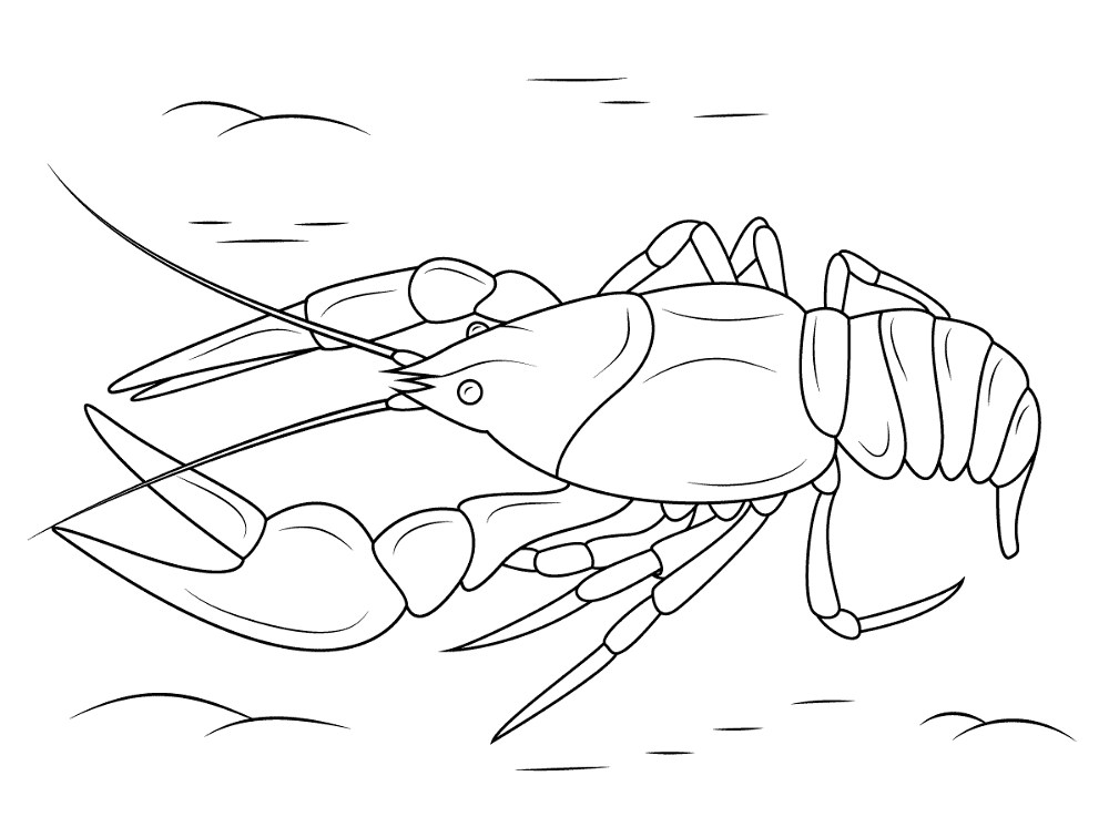 Desenho de Geral para colorir