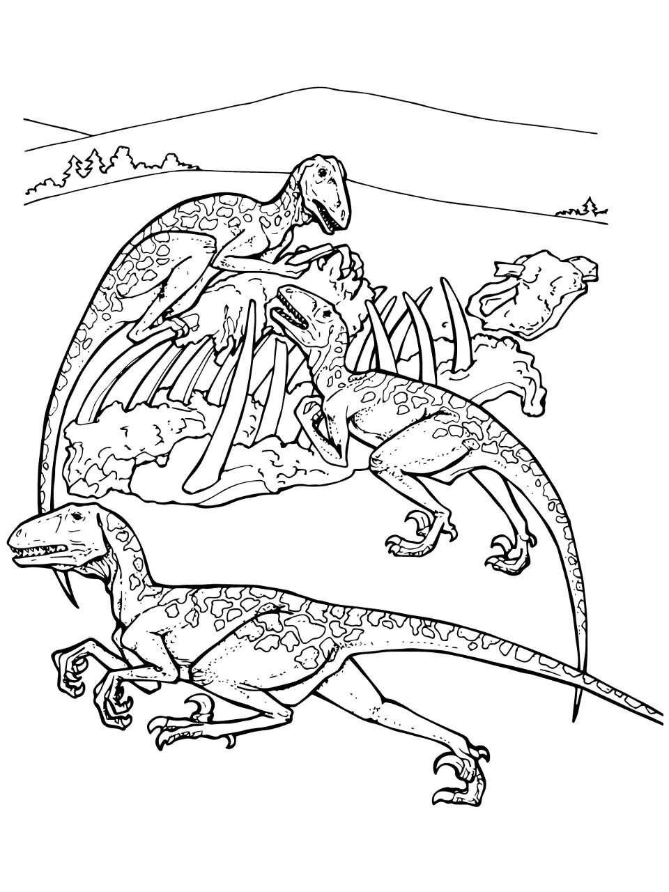Desenho de Geral para colorir