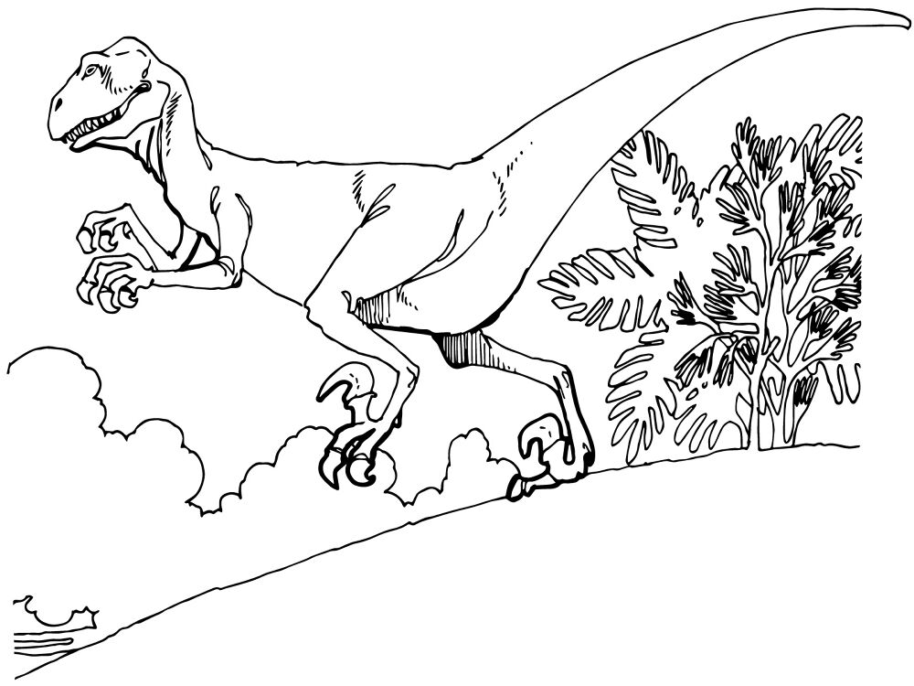 Desenho de Geral para colorir