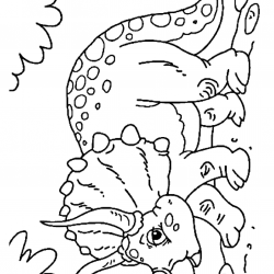 Desenho de Geral para colorir