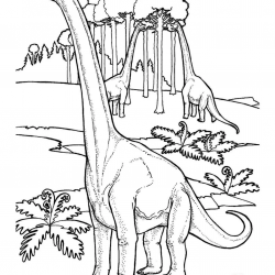 Desenho de Geral para colorir