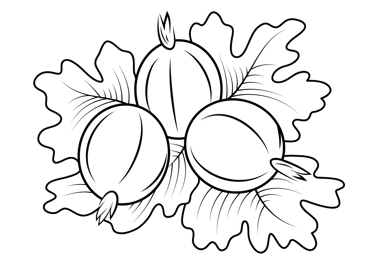 Desenho de Geral para colorir
