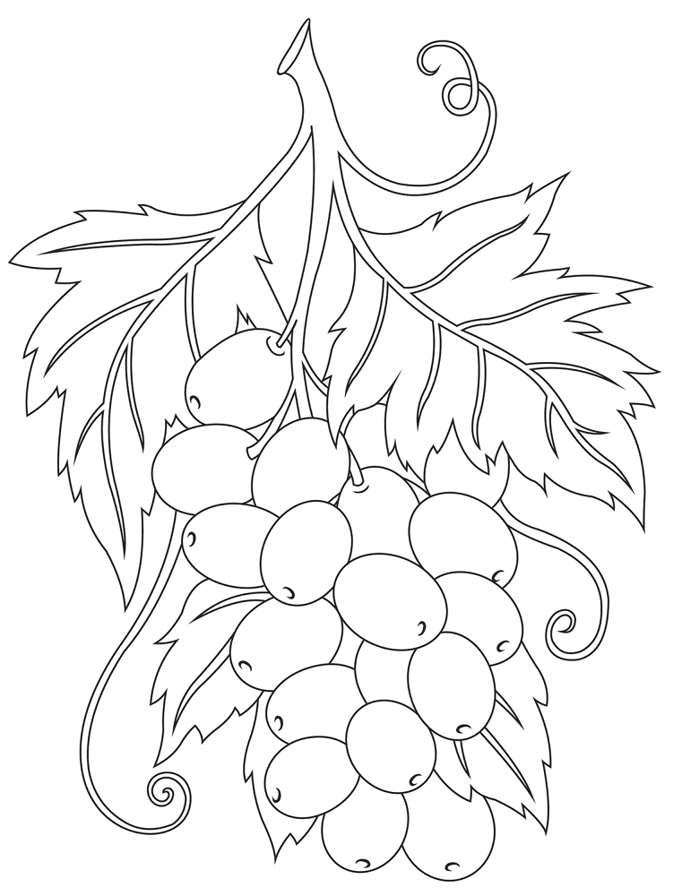 Desenho de Geral para colorir