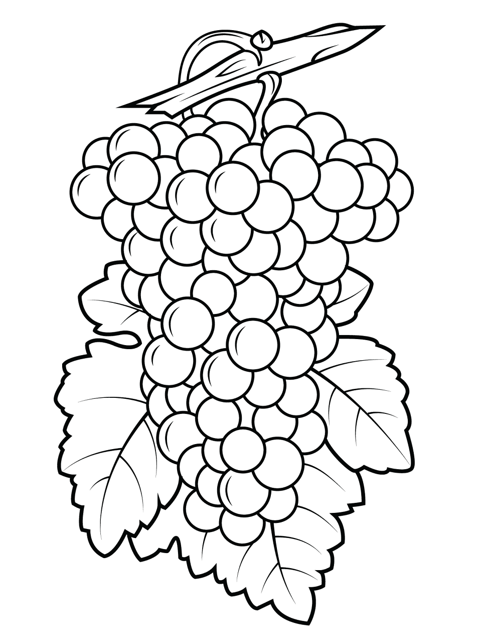 Desenho de Geral para colorir