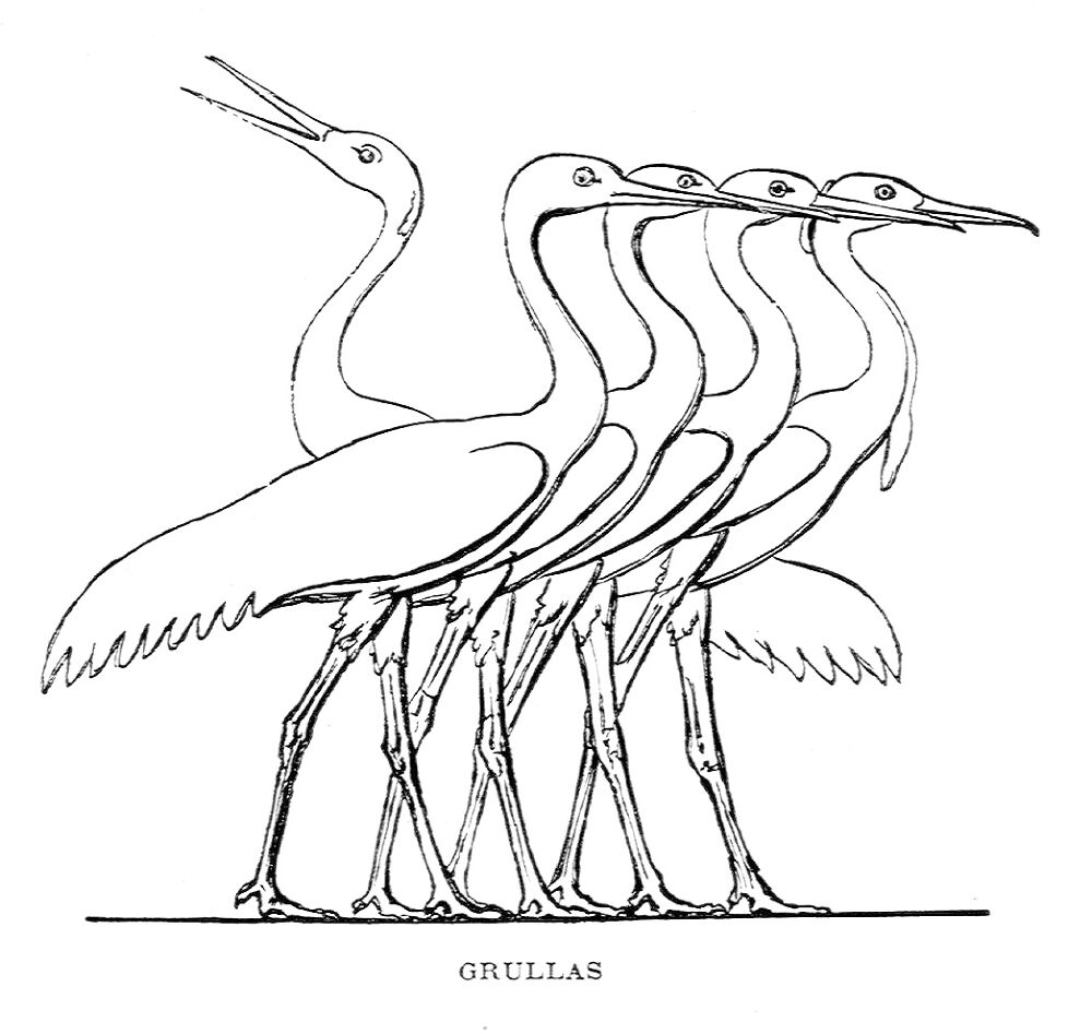 Desenho de Geral para colorir