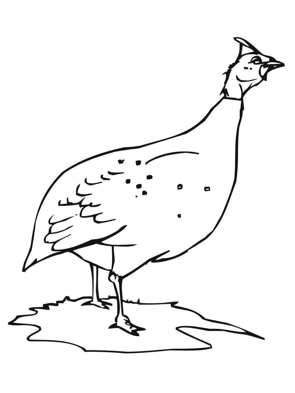 Desenho de Geral para colorir