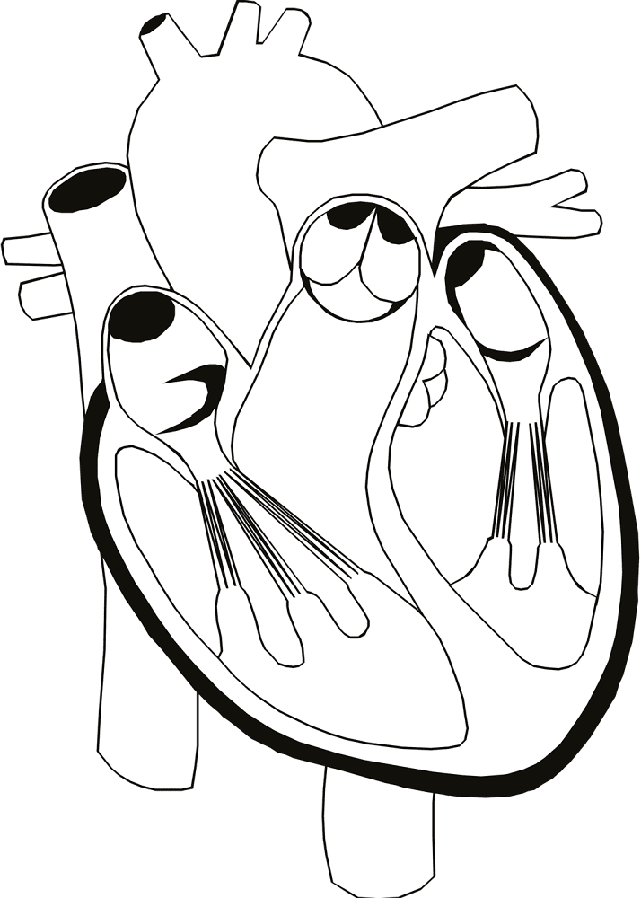 Desenho de Geral para colorir