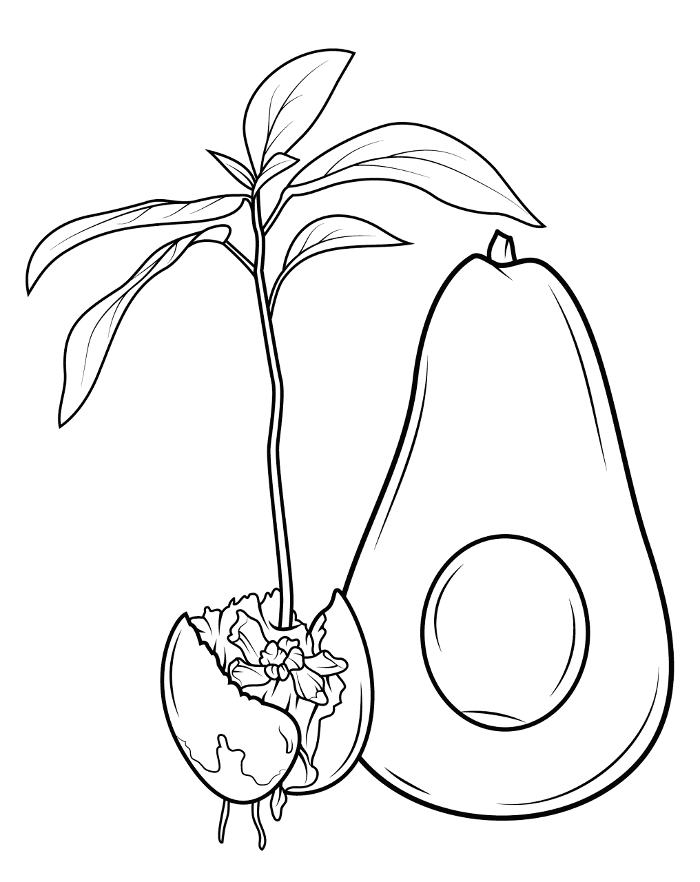 Desenho de Geral para colorir