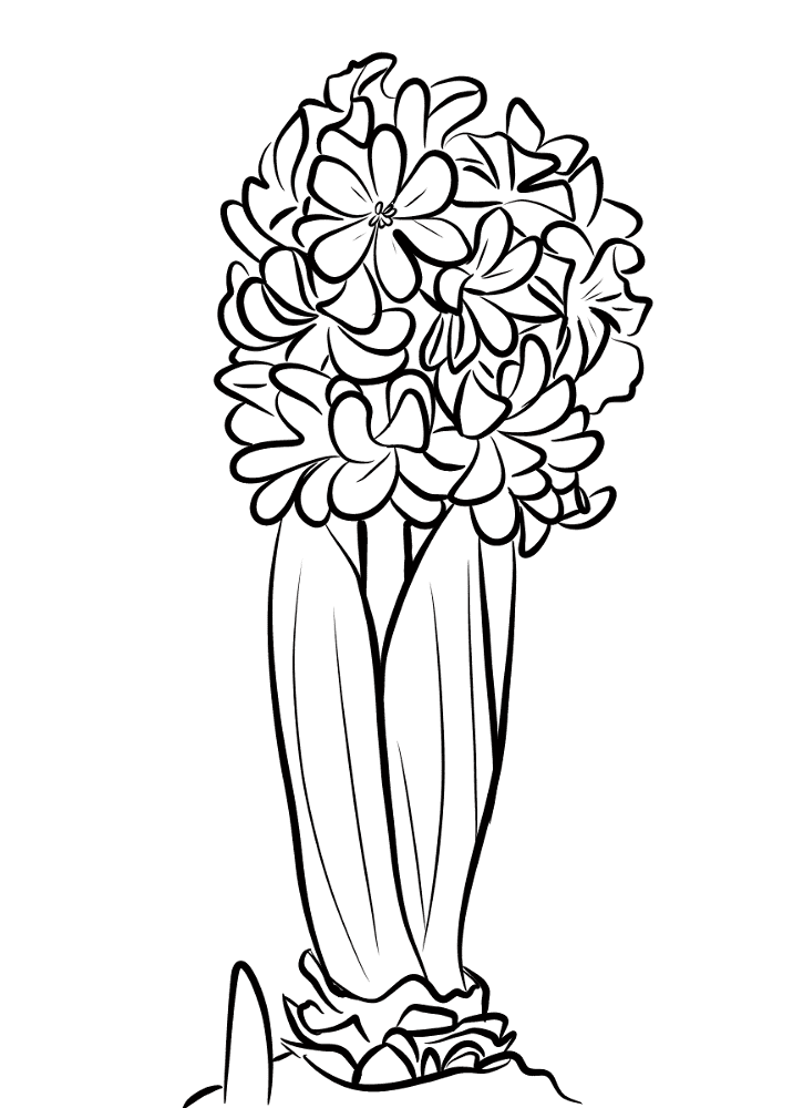 Desenho de Geral para colorir