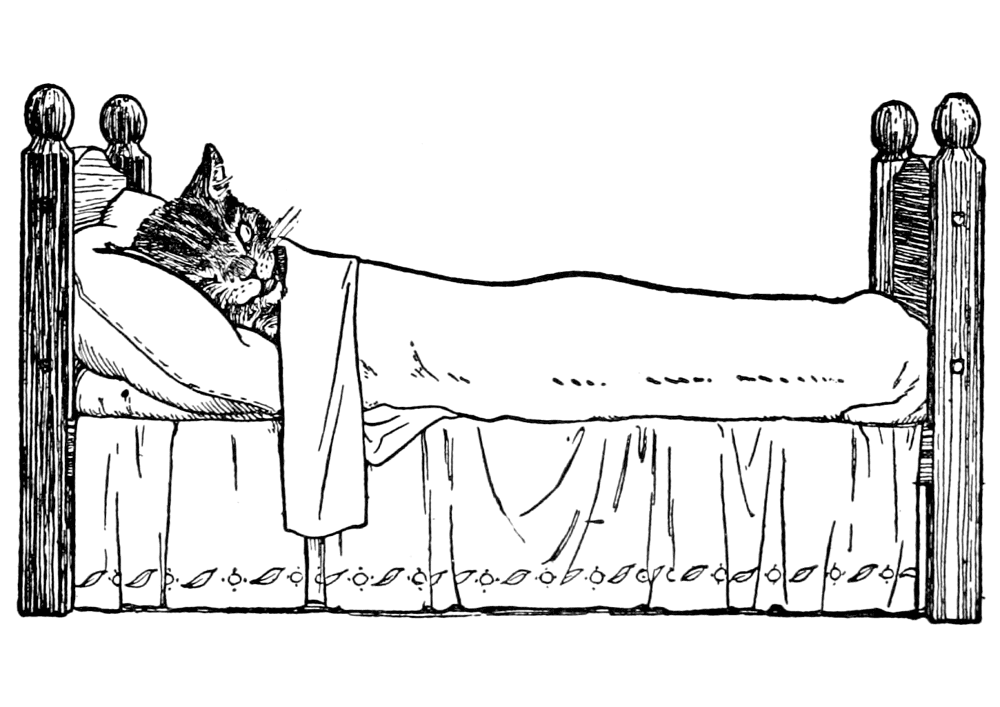 Desenho de Geral para colorir