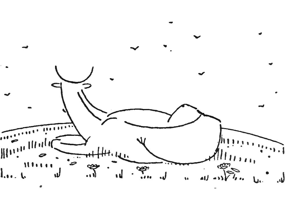 Desenho de Geral para colorir
