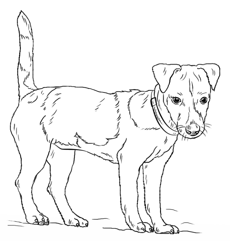 Desenho de Geral para colorir