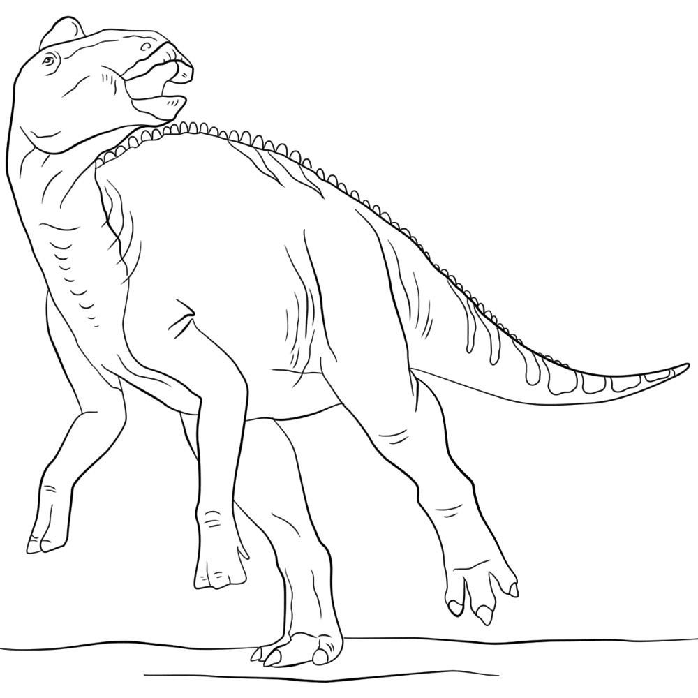 Desenho de Geral para colorir