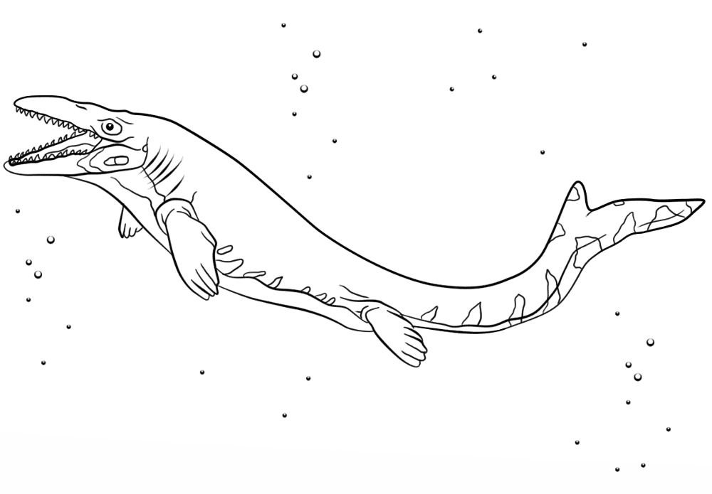 Desenho de Geral para colorir