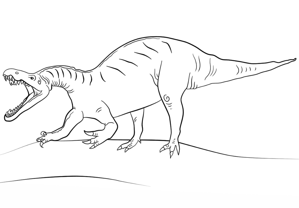 Desenho de Geral para colorir