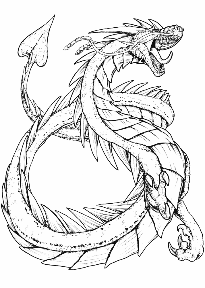 Desenho de Geral para colorir