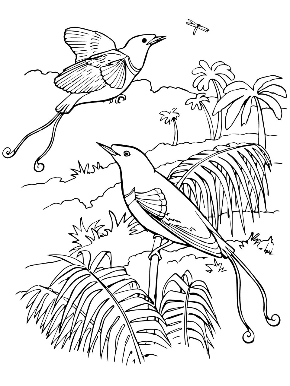 Desenho de Geral para colorir