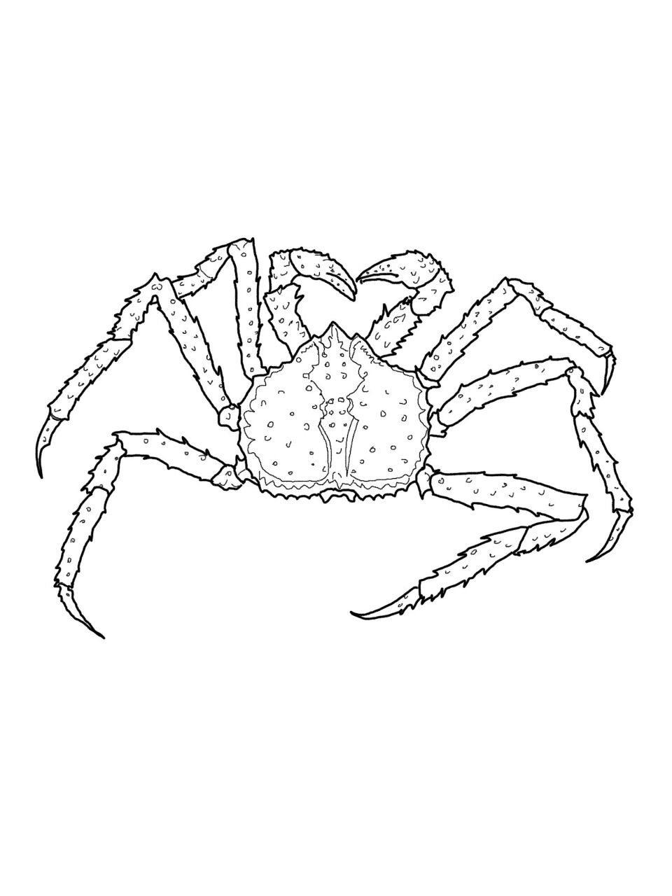 Desenho de Geral para colorir