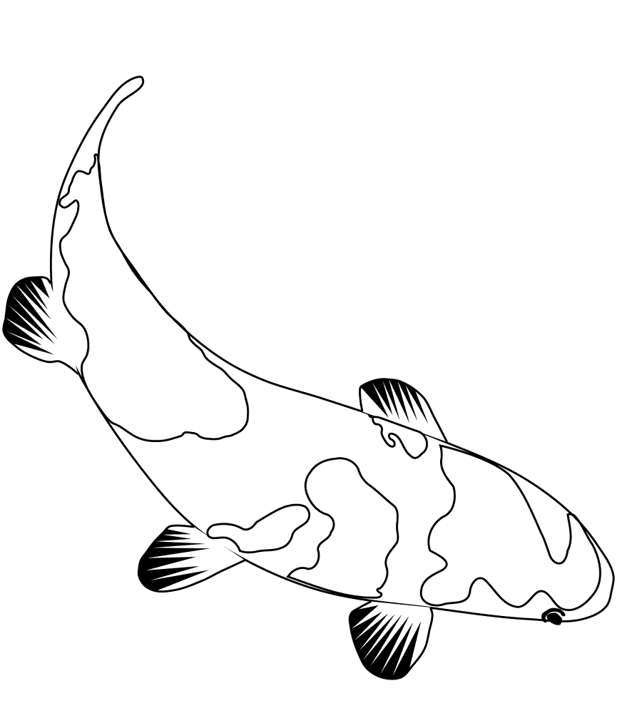 Desenho de Geral para colorir