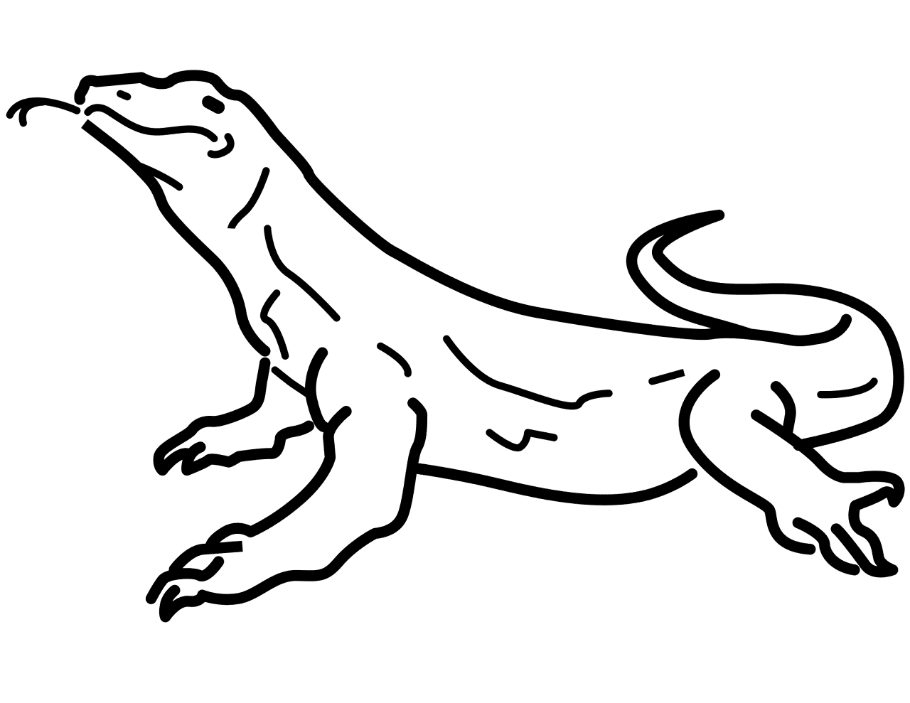 Desenho de Geral para colorir