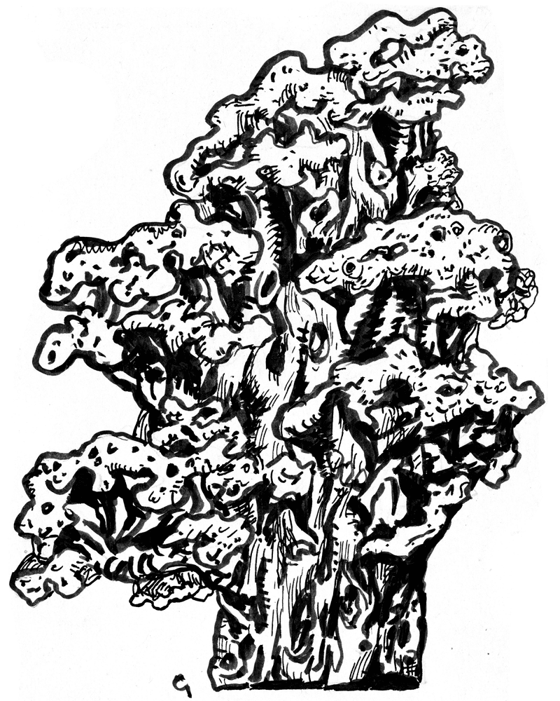 Desenho de Geral para colorir
