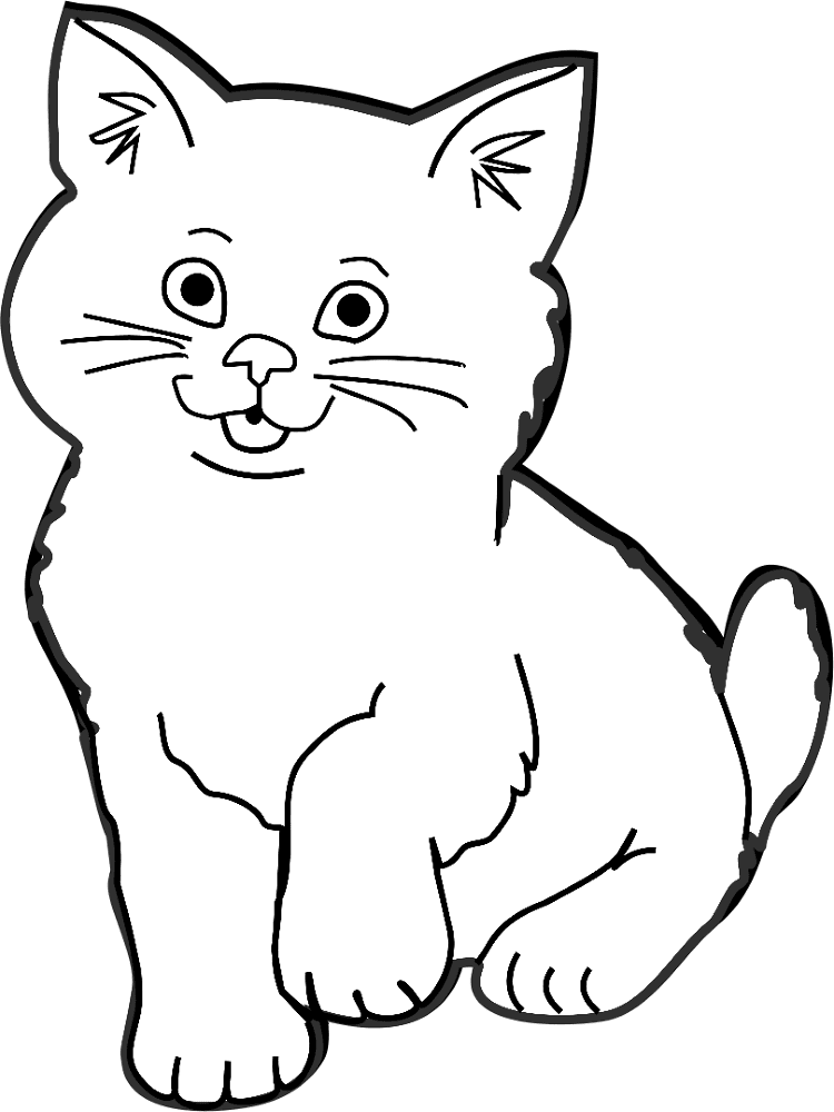 Desenho de Geral para colorir