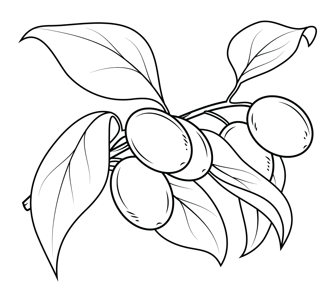 Desenho de Geral para colorir