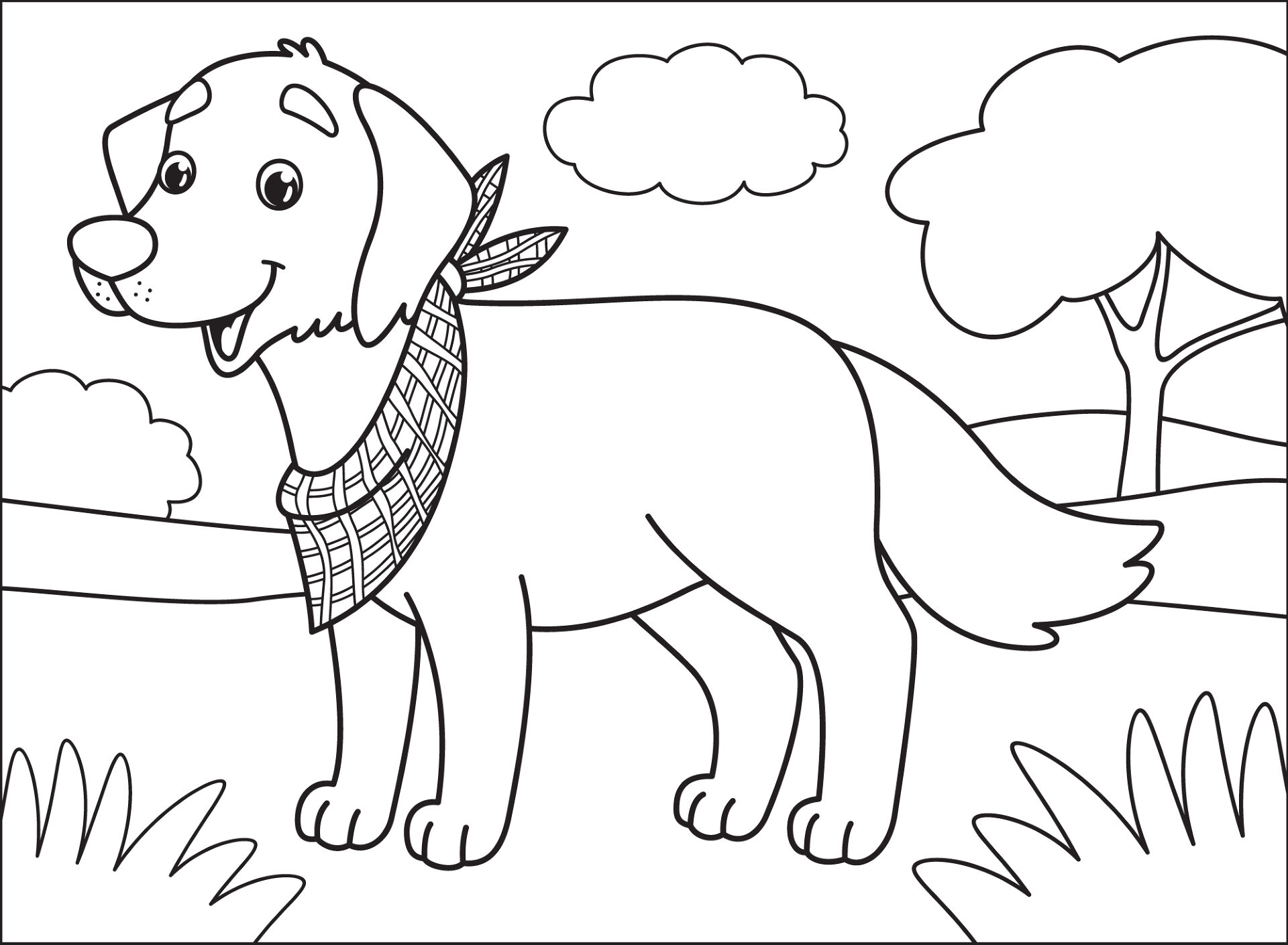 Desenho de Geral para colorir