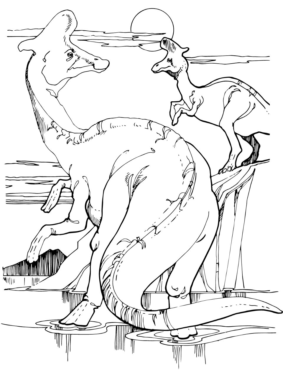 Desenho de Geral para colorir
