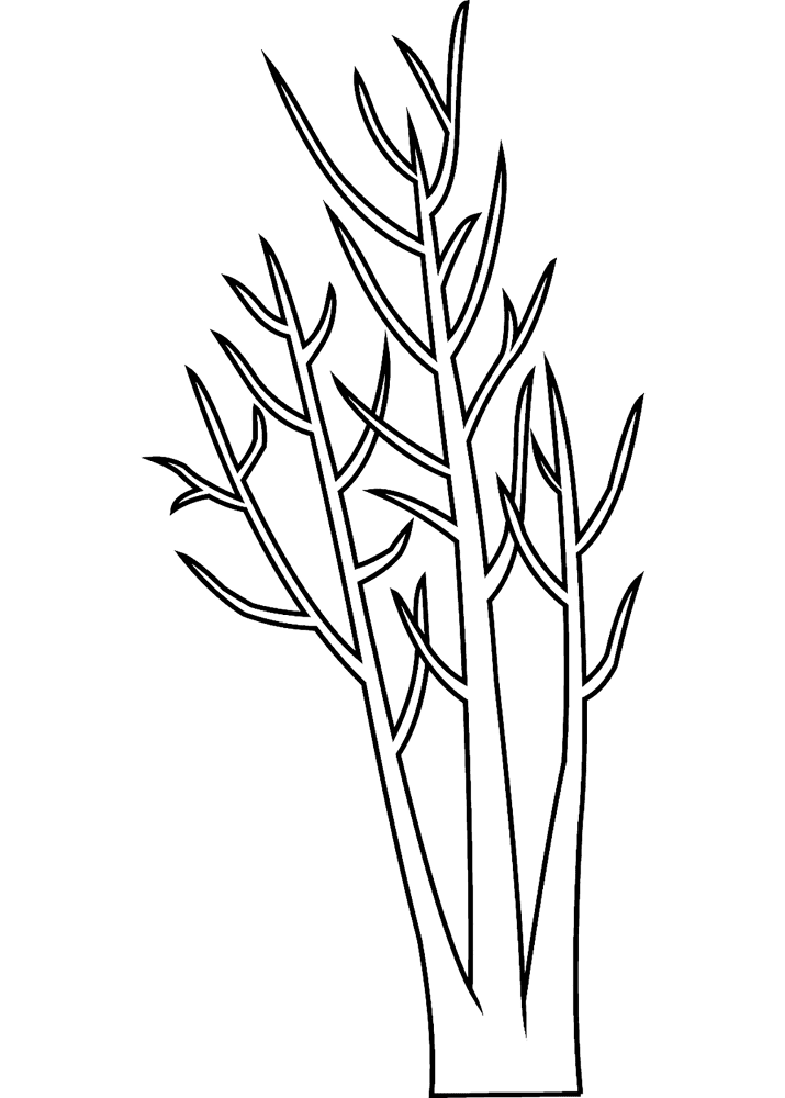 Desenho de Geral para colorir
