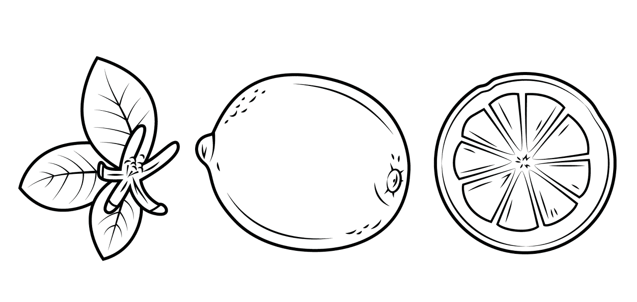 Desenho de Geral para colorir
