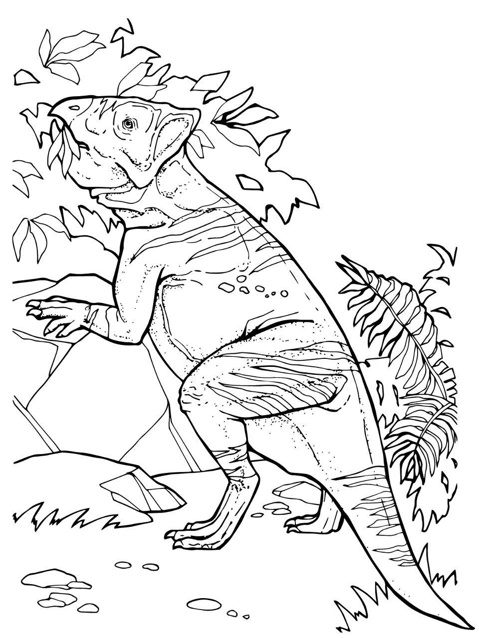Desenho de Geral para colorir