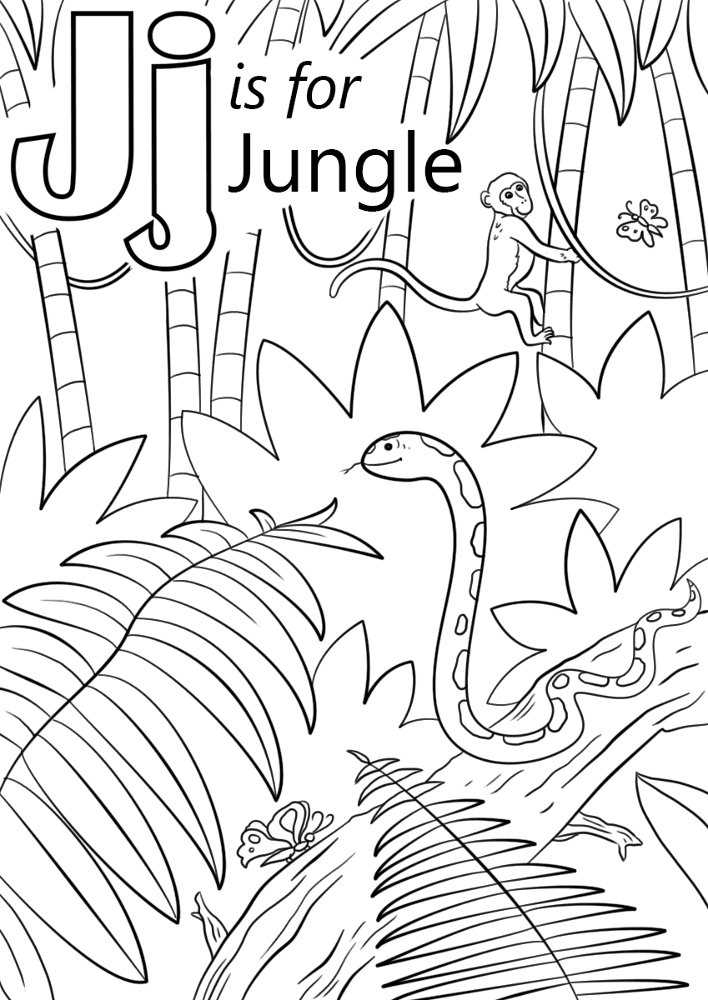 Desenho de Geral para colorir