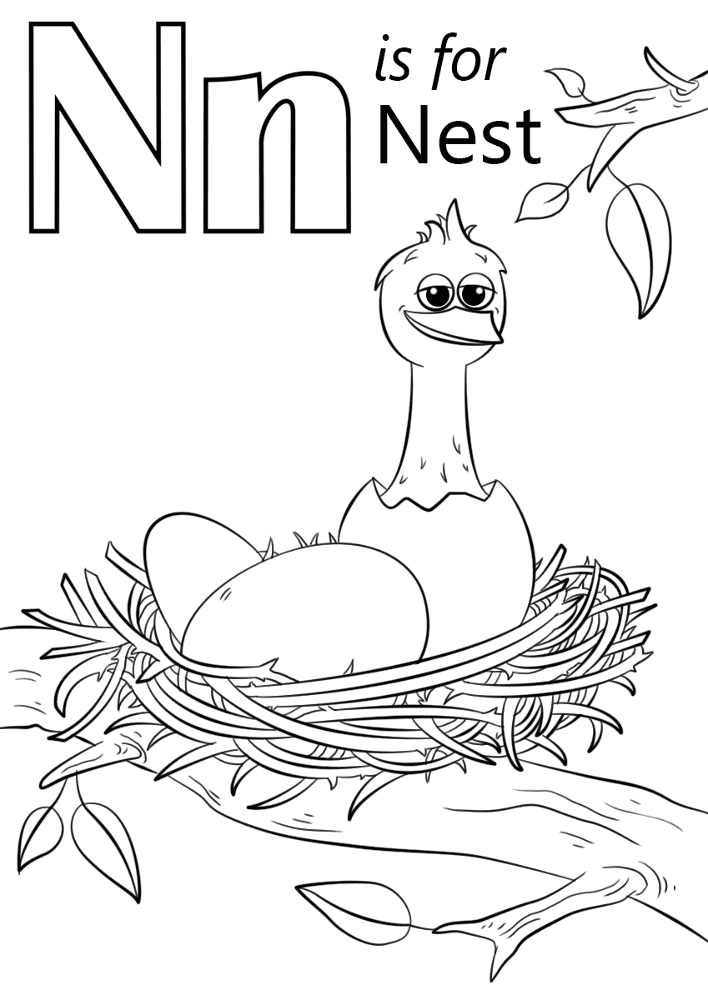 Desenho de Geral para colorir