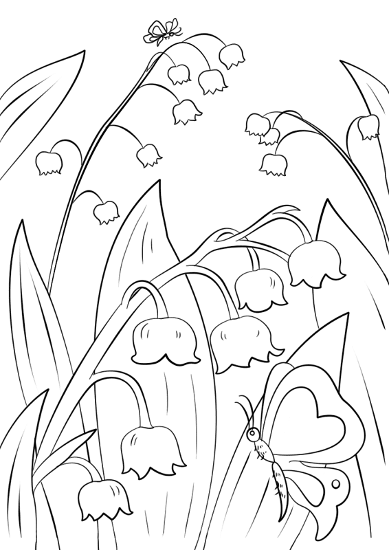 Desenho de Geral para colorir