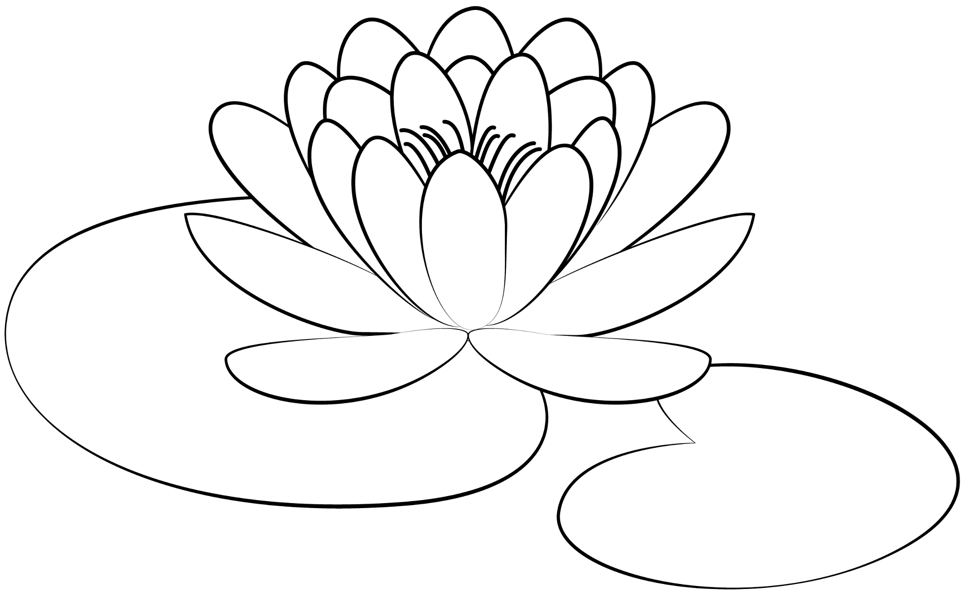Desenho de Geral para colorir