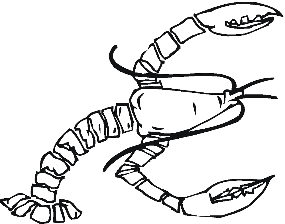 Desenho de Geral para colorir